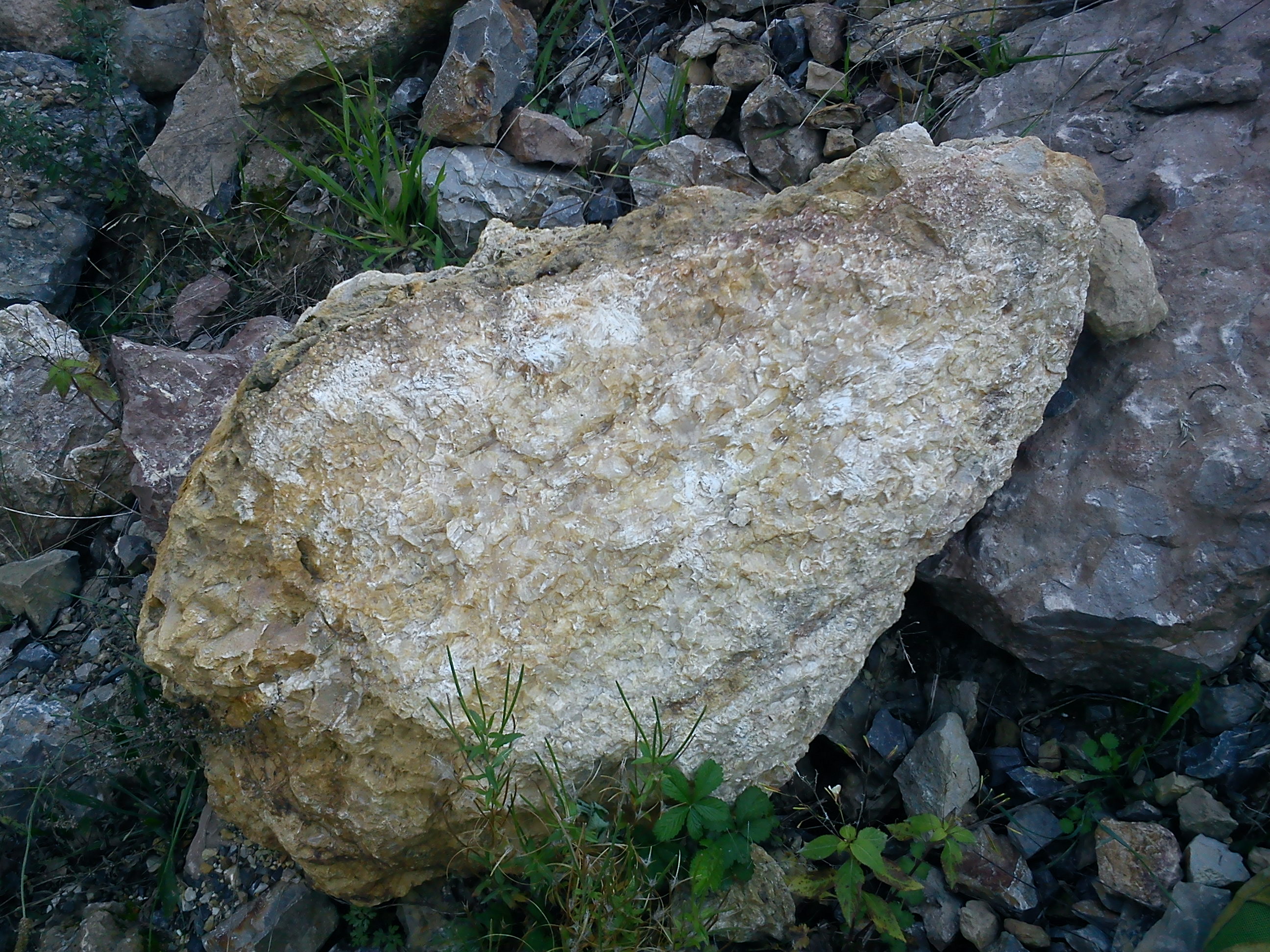 Kámen z Prokopského údolí