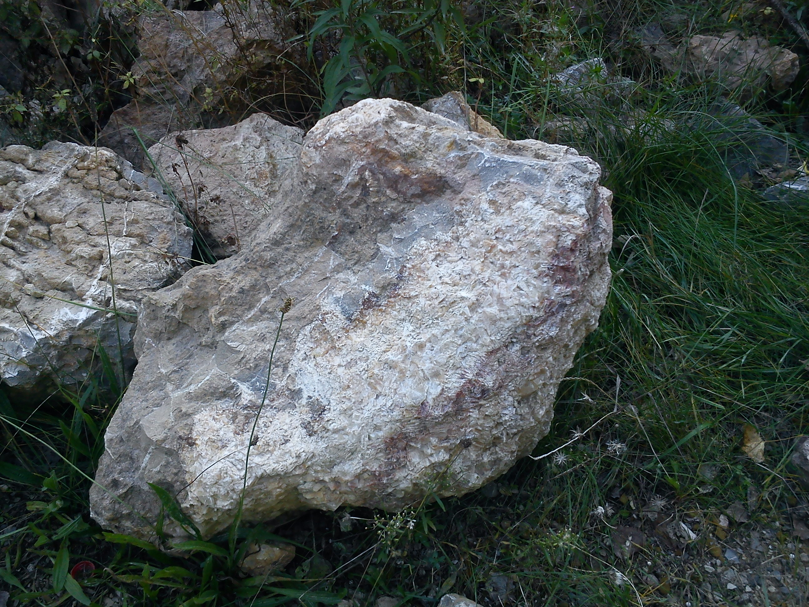 kámen v Prokopském údolí