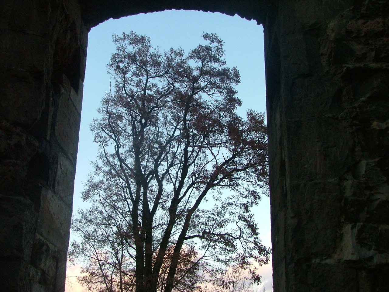 gotický chrám Panenský Týnec, dveře, průchod, strom