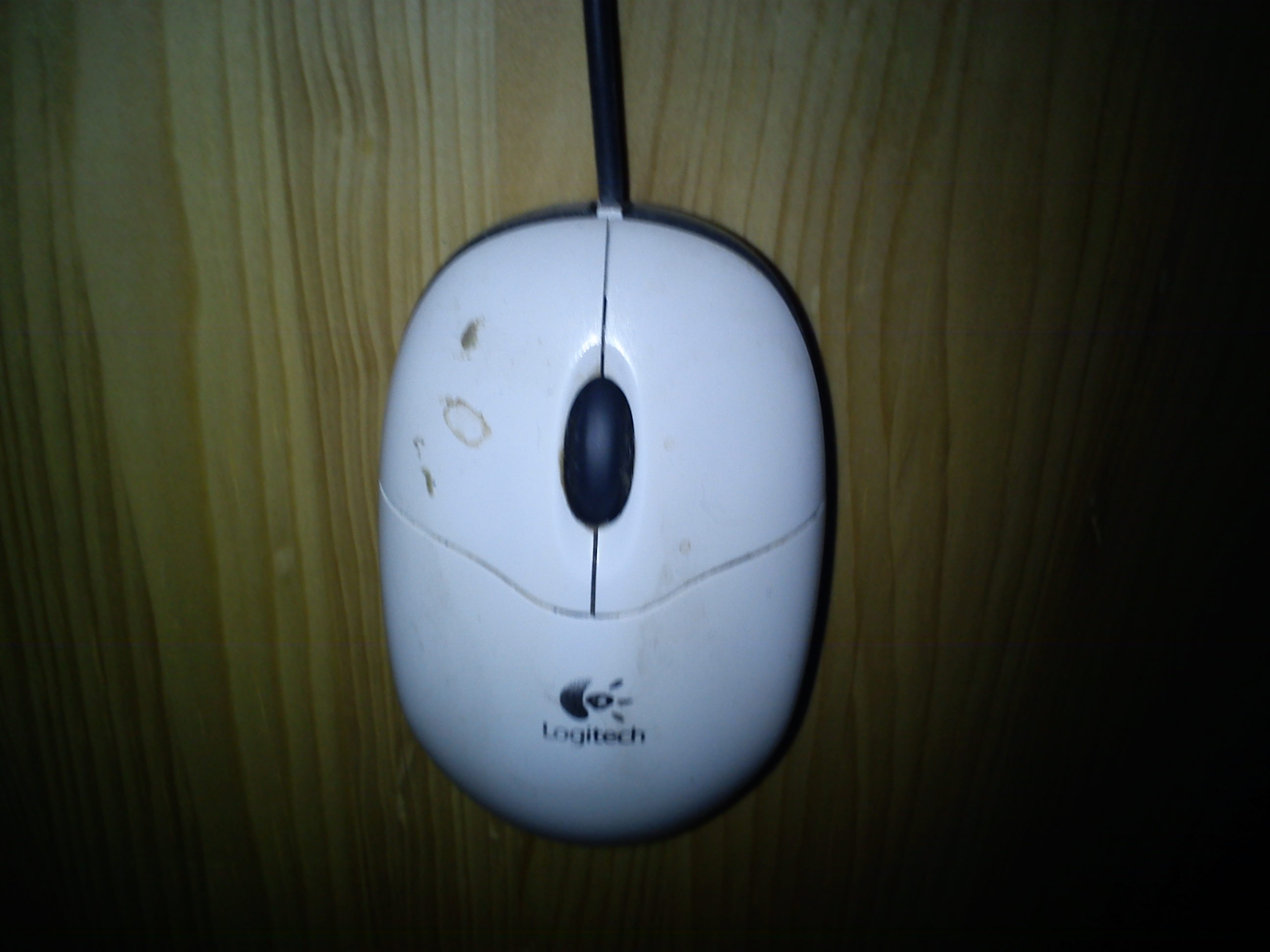 myš
